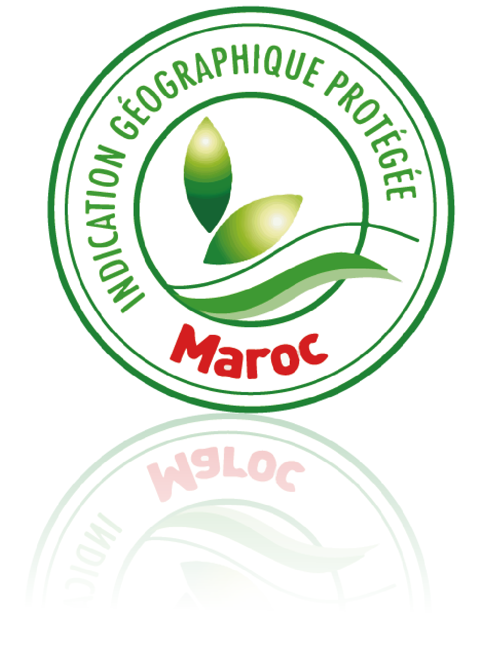 A side view of a plate of figs and berries. 